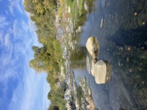 img_1151