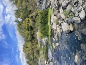 img_1161