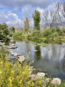 img_1180