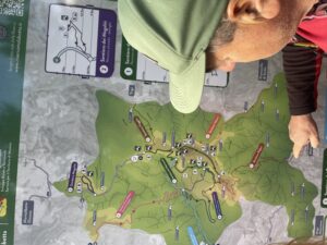 img_1233