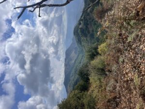 img_1249