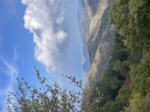 img_1259