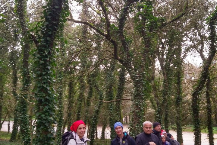 escursione-erice-natale-5